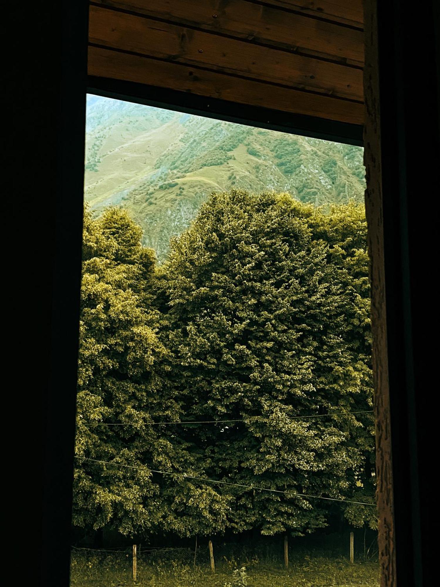 Hotel Gold Kazbegi Dış mekan fotoğraf